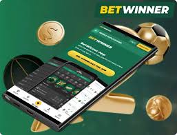 Explore the World of BetWinner Online Gambling Platform