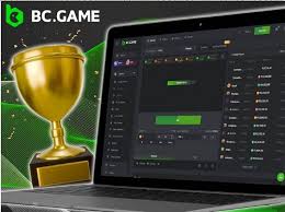 Exploring BC.Game A Guide for Pakistani Gamers